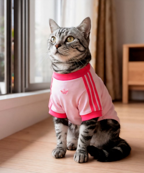 adidas（アディダス） 犬 服 ペット カリ Tシャツ / アディダス