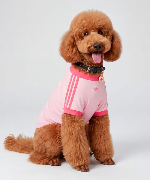  originals アディダス ペット 服 ピンク L 犬 adidas（アディダス） 犬 服 ペット カリ Tシャツ / アディダス