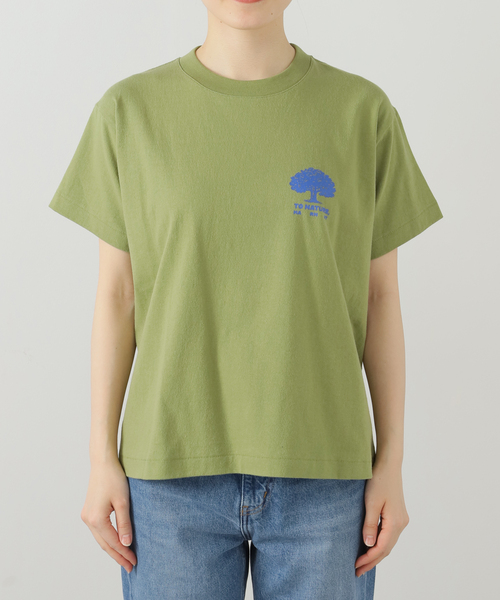tシャツ MARMOT CAPITAL TREE SS 25SS-L1-01-TR：Tシャツ レディース MARMOT CAPITAL tシャツ TREE SS 25SS-L1-01-TR：Tシャツ