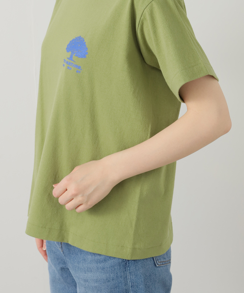 tシャツ MARMOT CAPITAL TREE SS 25SS-L1-01-TR：Tシャツ レディース MARMOT CAPITAL tシャツ TREE SS 25SS-L1-01-TR：Tシャツ