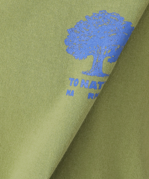 tシャツ MARMOT CAPITAL TREE SS 25SS-L1-01-TR：Tシャツ レディース MARMOT CAPITAL tシャツ TREE SS 25SS-L1-01-TR：Tシャツ