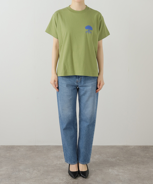 tシャツ MARMOT CAPITAL TREE SS 25SS-L1-01-TR：Tシャツ レディース MARMOT CAPITAL tシャツ TREE SS 25SS-L1-01-TR：Tシャツ