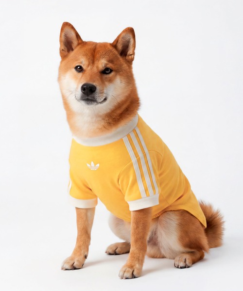 adidas（アディダス） 犬 服 ペット カリ Tシャツ / アディダス