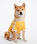 アディダス adidas 犬 服 ペット カリ...の詳細画像1