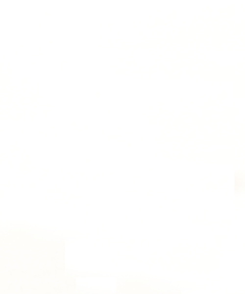 FRUIT OF THE LOOM（フルーツオブザルーム） tシャツ タイダイ染めL