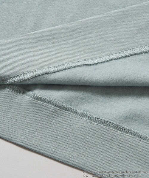 「FREAK'S STORE」 スウェットカットソー「GREMLINSコラボ」 LARGE グリーン メンズ_画像8