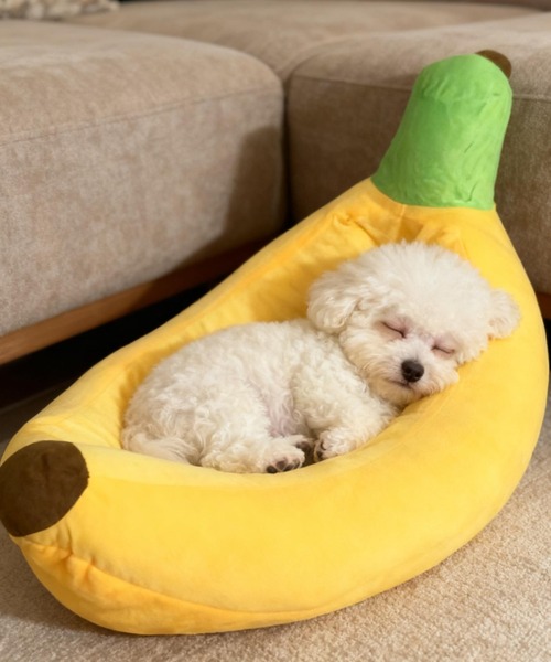 A BATHING APE（アベイシングエイプ） ペット マット ABC CAMO DOG