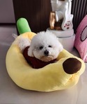 ペット マット BANANA ペット用ベッドの詳細画像4