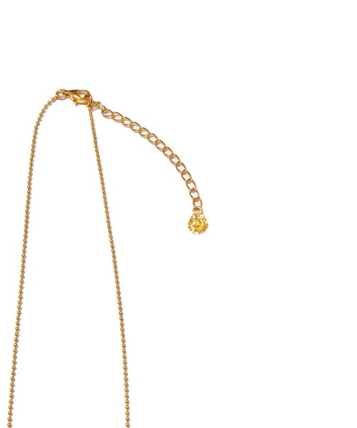 SAINT ROTTWEILER専用 SAINT ROTTWEILER専用 ROTTWEILER(ロットワイラー)｜WALKING DOG