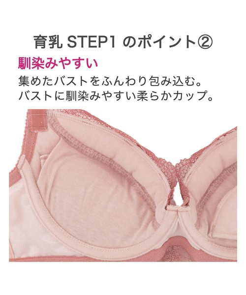 BRADELIS NewYork ブラジャー ウェンディステップ1ブラ24S1
