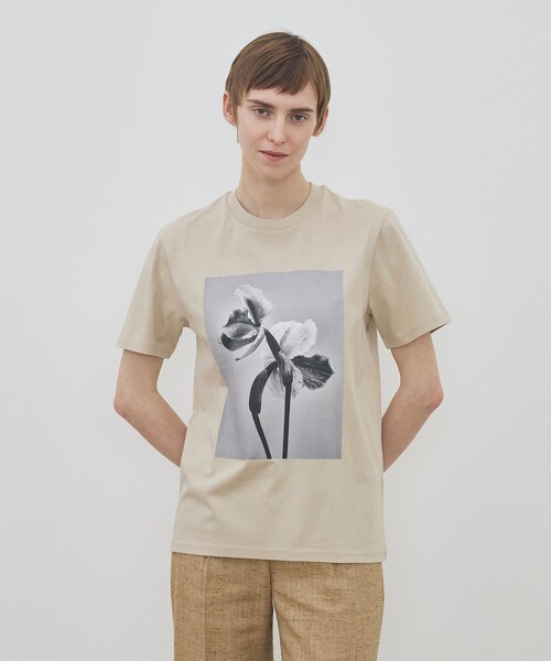 リサキング　Tシャツ LISA KING tシャツ 半袖 「別注」LISA KING JAGGER ハーフスリーブプル