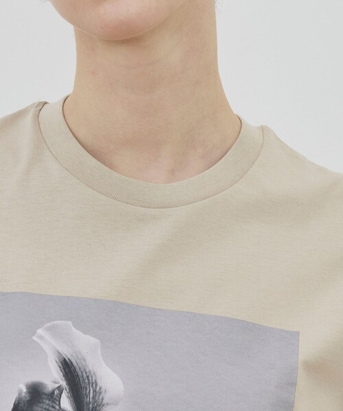 LISA KING tシャツ 半袖 「別注」LISA KING JAGGER ハーフスリーブプル