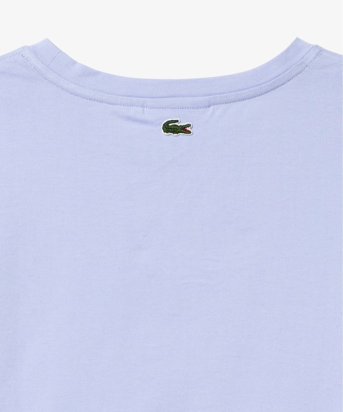 tシャツ LACOSTE / コンパクト ブランドネーム ロゴ Tシャツ レディース LACOSTE tシャツ コンパクトブランドネームロゴTシャツ