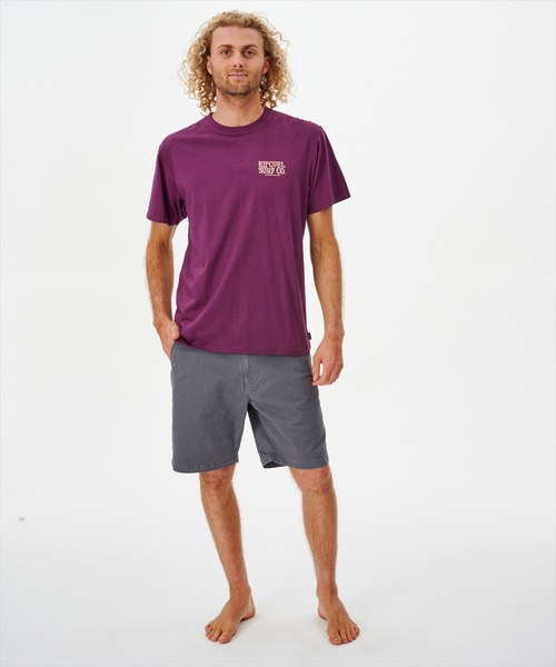 「RIP CURL」 半袖Tシャツ LARGE ナチュラル メンズ