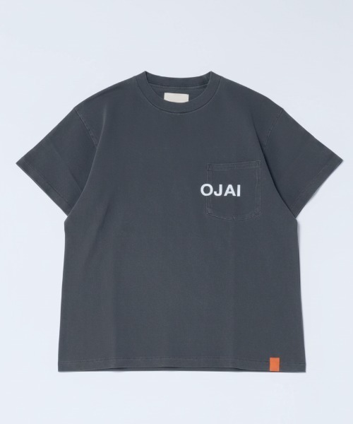 アチミ　POLO3点お纏め（釣りのトレーナー、Tシャツ、ダイバーTシャツ） TonyTaizsun（トニータイズサン） tシャツ 「TonyTaizsun/トニータイズ