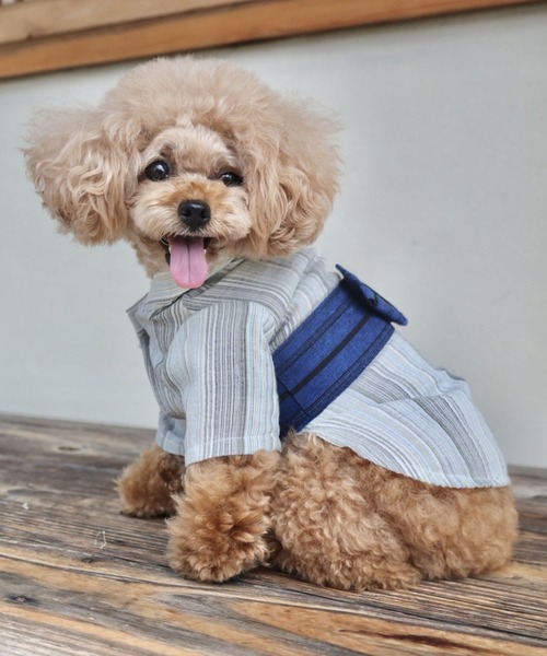 犬の浴衣 iDog 華やか大輪帯浴衣 アイドッグ-犬猫用品通販 IDOG&ICAT