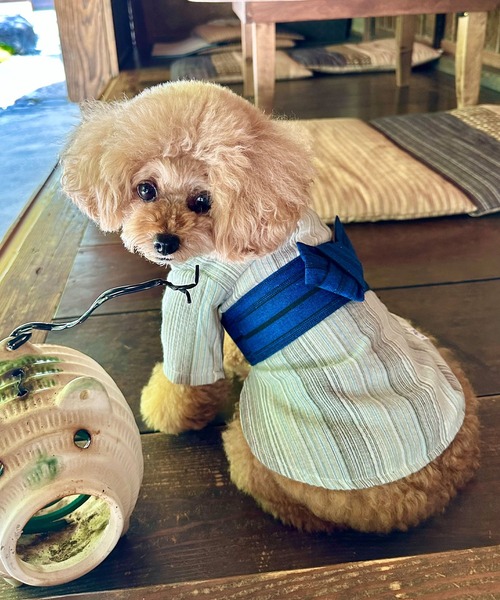 犬服♡犬浴衣②♡バレッタ②むぎ♡ 楽天市場】＼プレゼント企画開催中☆7/31 9:59まで／【犬 浴衣