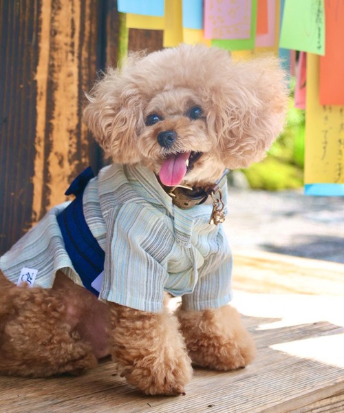 犬服♡犬浴衣②♡バレッタ②むぎ♡ 2枚 XL 犬猫 浴衣 着物 犬浴衣 犬ゆかた 犬着物 犬服 ピンク