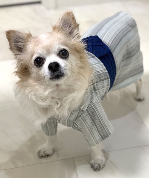 ONEKOSAMA OINUSAMA 犬 服 ペット浴衣 (XS〜3L) : ZOZOTOWN