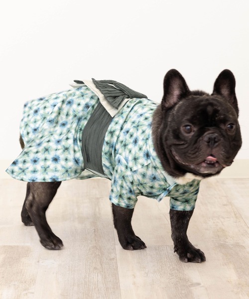 ONEKOSAMA OINUSAMA 犬 服 ペット浴衣 (XS〜3L) : ZOZOTOWN