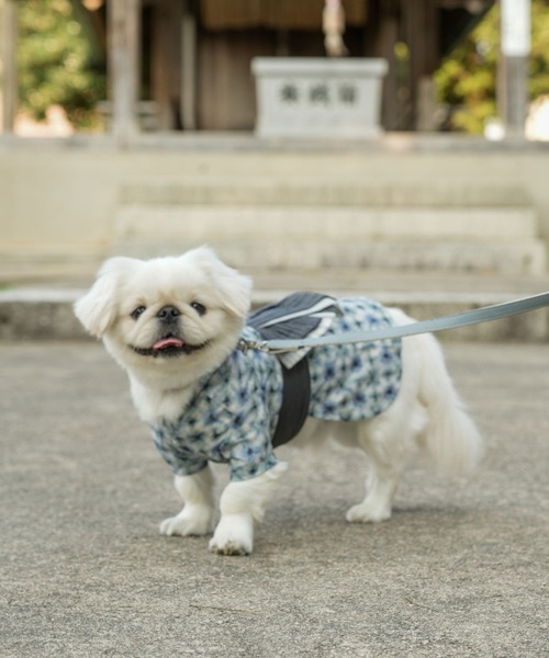 ONEKOSAMA OINUSAMA 犬 服 ペット浴衣 (XS〜3L) : ZOZOTOWN