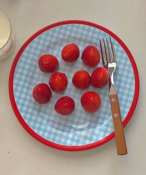 食器 レトロチェックデザインプレート | ブランド登録なし | 06
