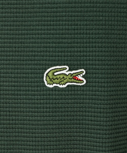 LACOSTE（ラコステ） tシャツ 「LACOSTE / ラコステ」別注 ワッフルT