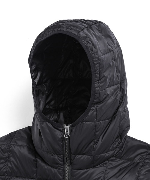 TAION（タイオン） ダウンジャケット ダウン 「」「メンズ」ベーシック