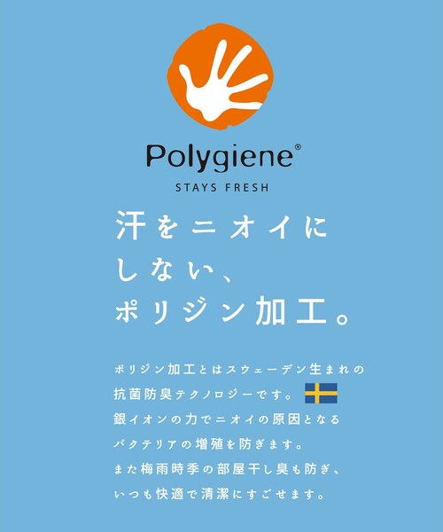 高評価 スーツ Paypayモール店 通販 Paypayモール ジャケット L レイナジャージーテーラードジャケット Zozotown 低価即納 Www Proholzfenster De