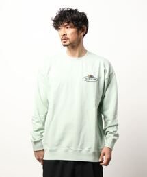 FRUIT OF THE LOOM トレーナー スウェット 胸プリント メンズ
