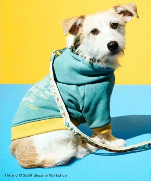 SESAME STREET（セサミストリート） 犬 服 「DOG」HELLOフーディー