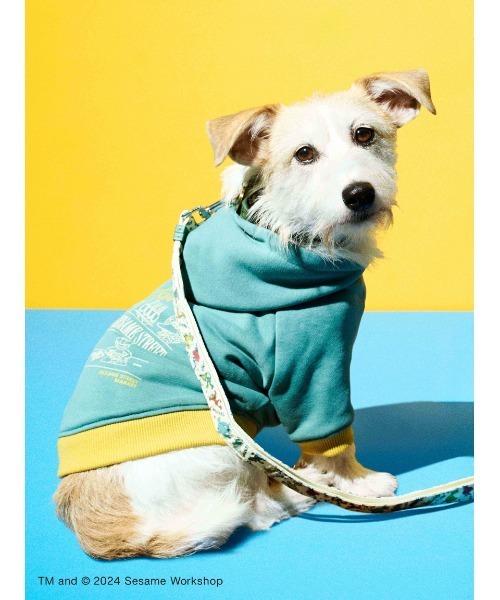 SESAME STREET（セサミストリート） 犬 服 「DOG」HELLOフーディー