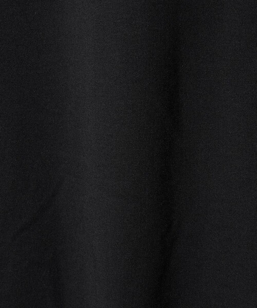 ノースフェイス tシャツ 「THE NORTH FACE」ショートスリーブ テクニカル アウトドア Tシャツ メンズの画像
