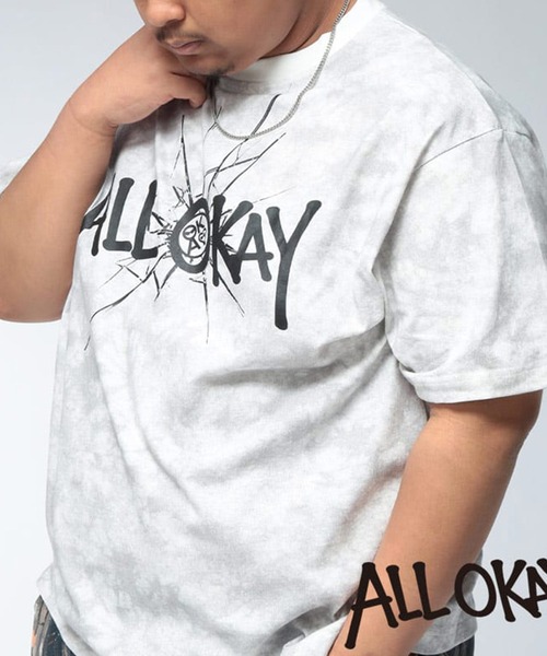 tシャツ Tシャツ 半袖 メンズ 大きいサイズ フロント×バック 加工