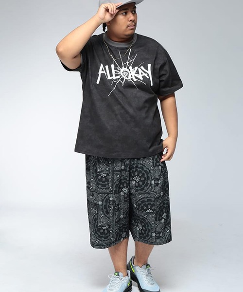tシャツ Tシャツ 半袖 メンズ 大きいサイズ フロント×バック 加工