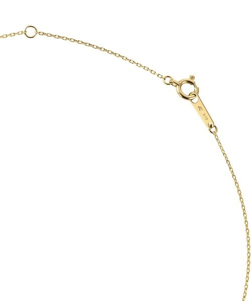 ネックレス 「Summer Collection」 K10イエローゴールド ネックレス レディースの画像