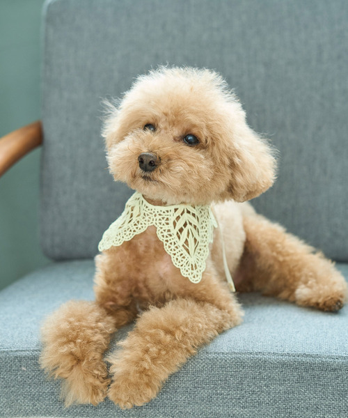 @ OHNO NOKO 花柄 ティペット つけ襟 ビジュー プリーツ スカーフ OHNO NOKO 花柄 ティペット つけ襟 ビジュー プリーツ スカーフ