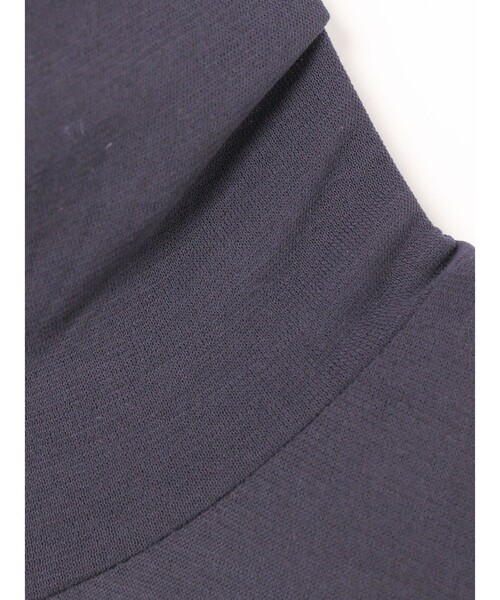 tシャツ mizuiro ind ハイネックプルオーバー レディース mizuiroind tシャツ mizuiro ind ハイネックプルオーバー