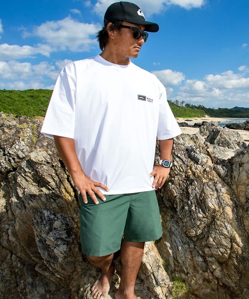 クイックシルバー 海パン  水着 Quiksilver（クイックシルバー） 水着 水着 海パン トランクス サーフ