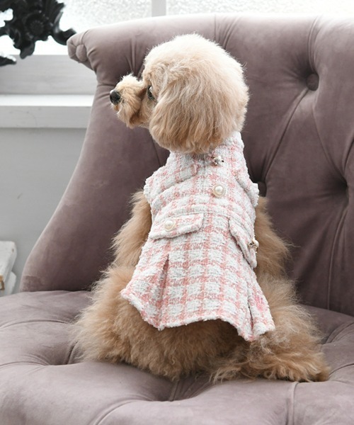 ANNA SUI（アナスイ） 犬 服 ANNA SUI/ツイードワンピース23