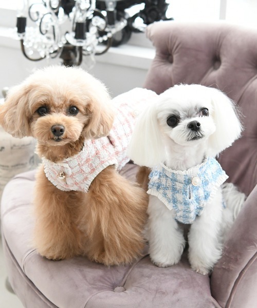 ANNA SUI 犬 服 SUI/ツイードワンピース23 : ZOZOTOWN Yahoo!店