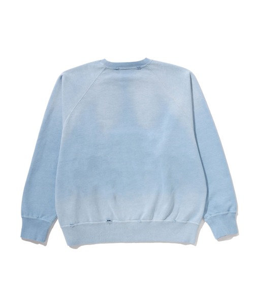 A BATHING APE（アベイシングエイプ） トレーナー スウェット DESTROY