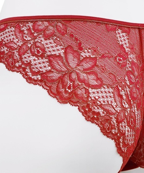 ANNEBRA（アンブラ） ショーツ Velvet ベロア×レースショーツ