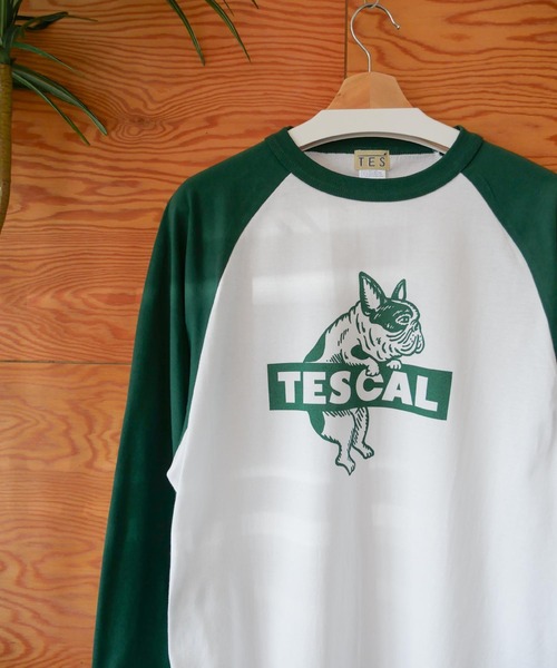 The Endless Summer tシャツ 「WEB / FLAG SHOP限定」TES RAGLAN