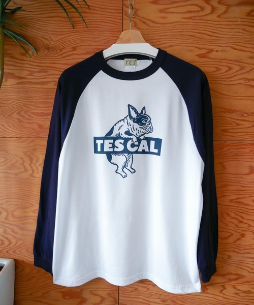 The Endless Summer tシャツ 「WEB / FLAG SHOP限定」TES RAGLAN