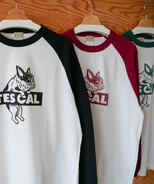 The Endless Summer tシャツ 「WEB / FLAG SHOP限定」TES RAGLAN