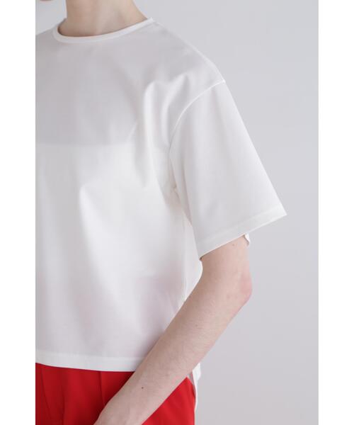 LE PHIL（ル フィル） tシャツ パーフェクトTコンパクトポンチ