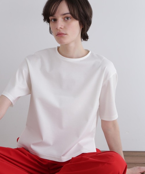 tシャツ パーフェクトTコンパクトポンチ レディース