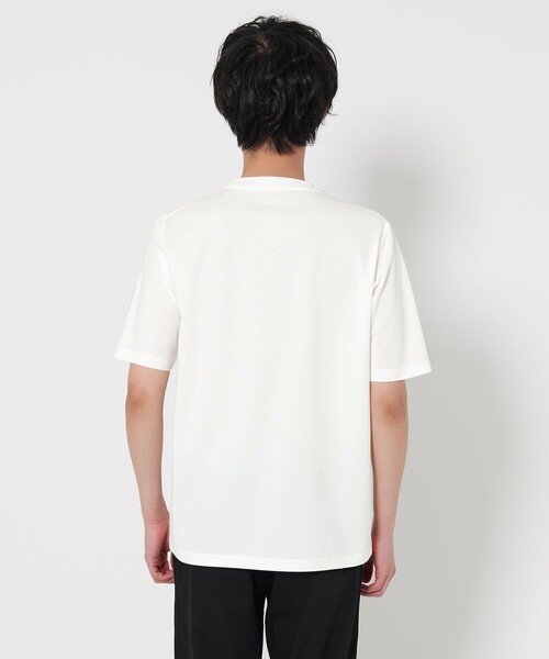 A DAY IN THE LIFE tシャツ シャイニー ポンチ ベーシックカットソー