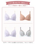 福袋 「小さく見せるブラ 2枚組」の詳細画像2